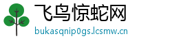 飞鸟惊蛇网
